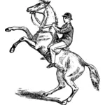 איש רוכב על סוס rearing בתמונה וקטורית.